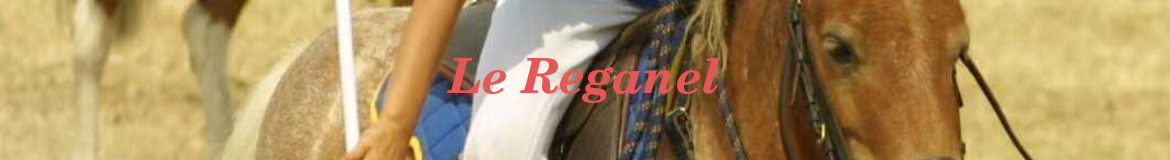 Le Reganel